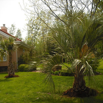 Paysagement tropical