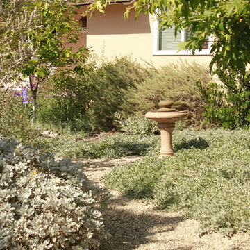 Mar Vista CA Native Garden