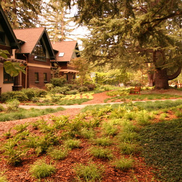 Tapestry lawn in Portola Valley