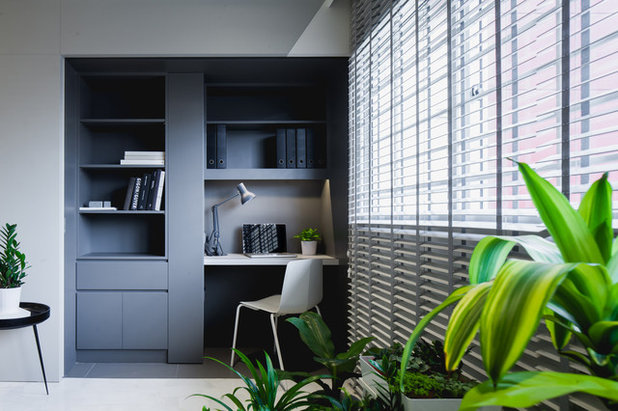 Современный Гостиная by Studio Wills + Architects