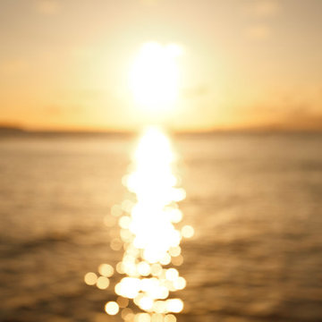 Cover photos