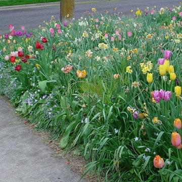 Unforgettable Bulb Display