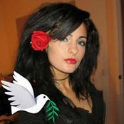 Setareh Makinejad's photo