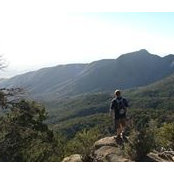 Phil Simpson's photo