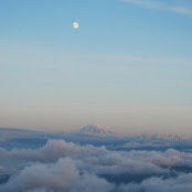 Gitane Versakos's photo