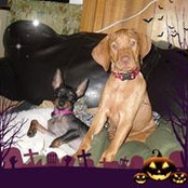 Lois Metelsky's photo
