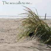 Kent & Beth Rogers's photo