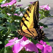 Marie Hepp's photo