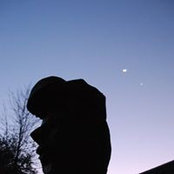 Nicholas Labuschagne's photo