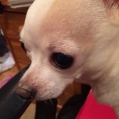 Lynn Browning's photo