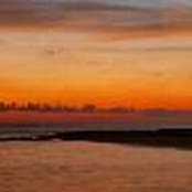 Rebecca Whitehead's photo