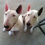 Terry Moore's photo