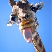 Samantha Beg's photo
