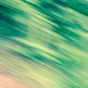Carole Lane's photo