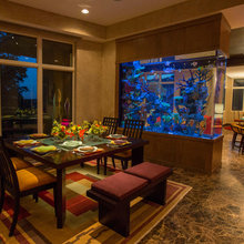 fish tank