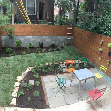 Contemporary Urban Backyard