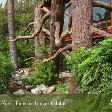 Los Angeles Zoo’s Francois Langur Exhibit