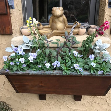 Southern Window Boxes