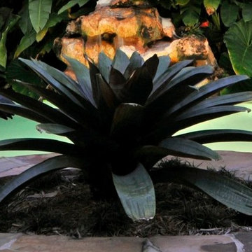 Miami Landscape Design Ideas