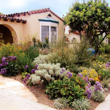 front yard