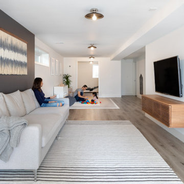 Magnolia Basement Remodel