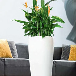 Modern Planter - Products