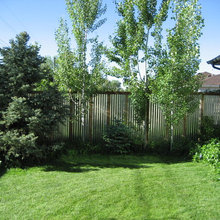 Fencing