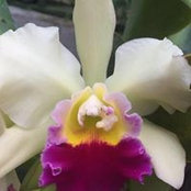 Melony Maloy's photo