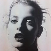 Nico Astfalk's photo
