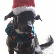 Annette Couillard's photo