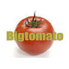 ヒノキのログハウス/有限会社ビッグトマト