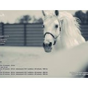 Andaluz Echitatie's photo