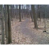 Carol Trick's photo