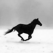 Photo de Karla Moxley