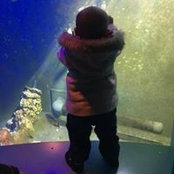 Sean Britton's photo