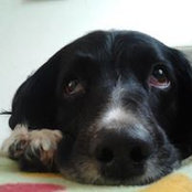Foto von Laura Cooper