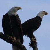 Dean Sanderson's photo