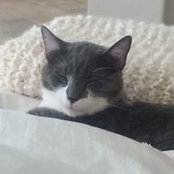 Cathy Wicke's photo