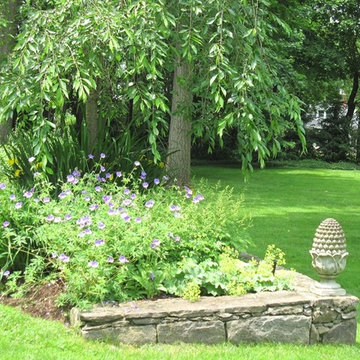 Larchmont Backyard