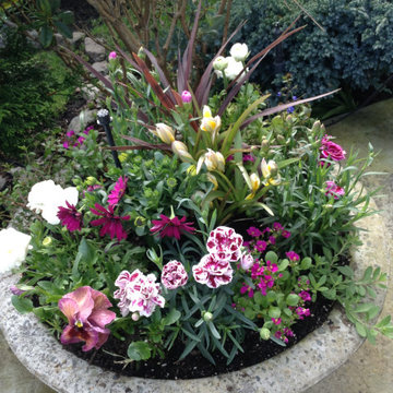 Spring Containers