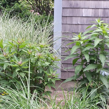 Cottage Garden, North Kingstown, RI