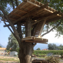 Casetta Sull’albero