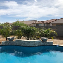 Mule Palms