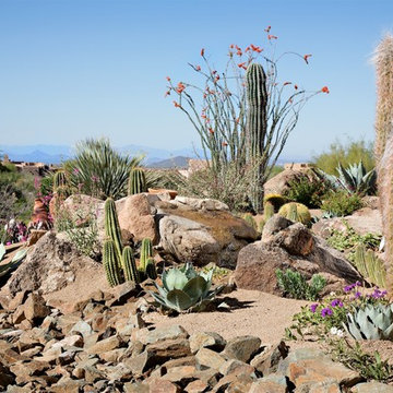 Phoenix Home & Garden - NATURALISTIC DESERT GARDEN