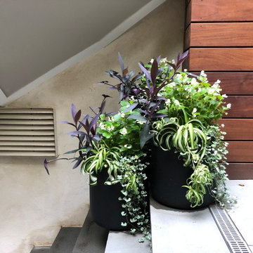 Brooklyn Heights Backyard 1