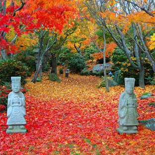 Réalisation d'un jardin asiatique l'automne.