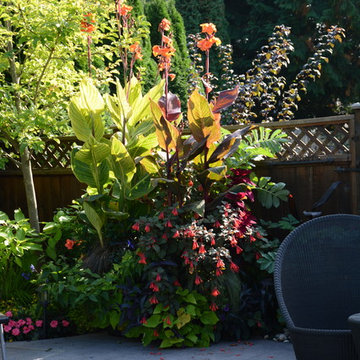 Poolside Garden and Containers