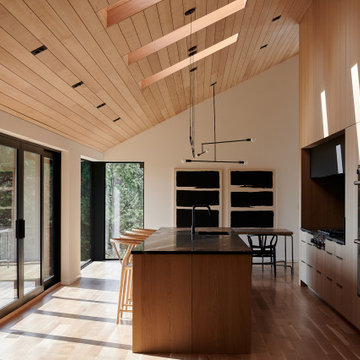 Pine Tree House