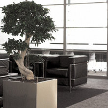 Stainless steel planters