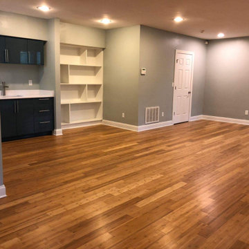 15th St. Contemporary Basement Remodel